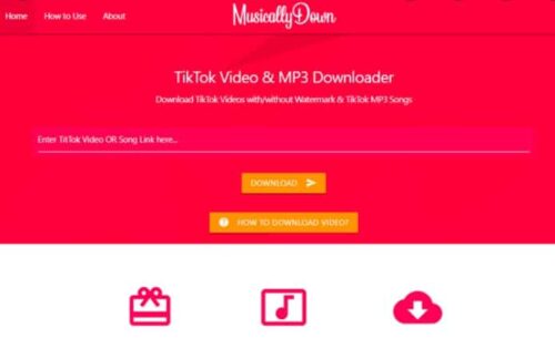 Cara Download Video Dan Sound TikTok MP3 Via MusicallyDown