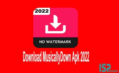 Link Download MusicallyDown Apk 2022