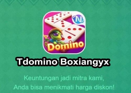 Tentang Aplikasi Tdomino Boxiangyx